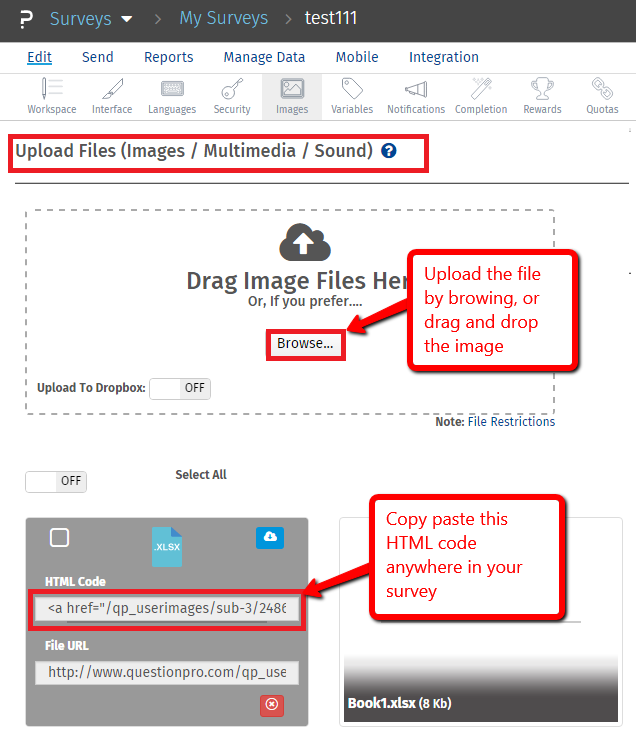 Survey Software Help Image